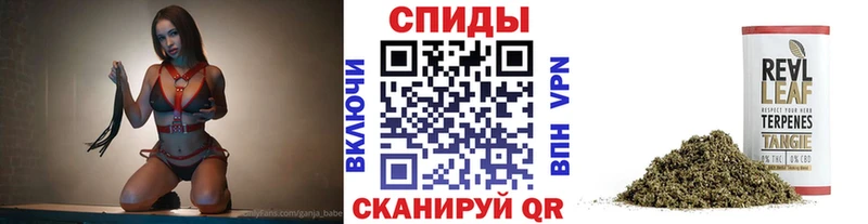купить закладку  Киселёвск  БУТИРАТ оксана 