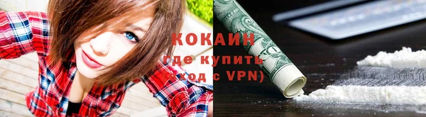 индика Каменногорск