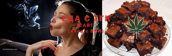 индика Каменногорск