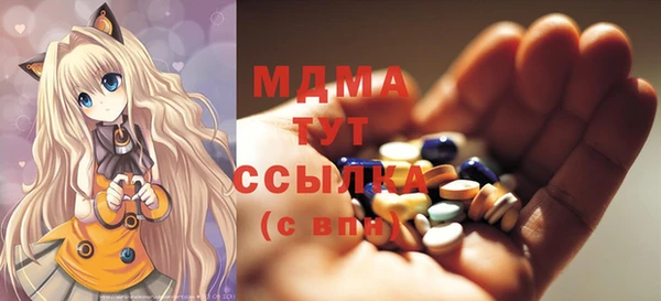 индика Каменногорск