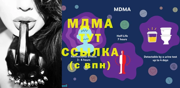 индика Каменногорск