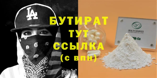 индика Каменногорск
