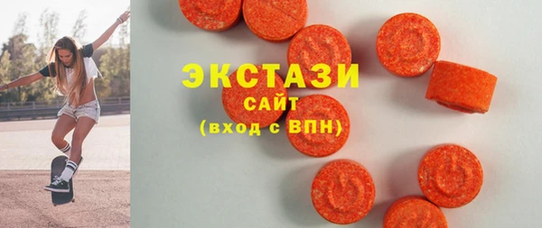 индика Каменногорск