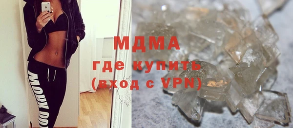 индика Каменногорск