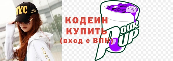 тгк Каменка