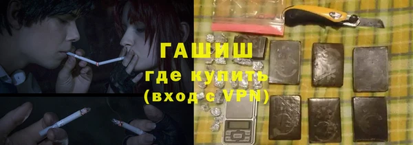 индика Каменногорск