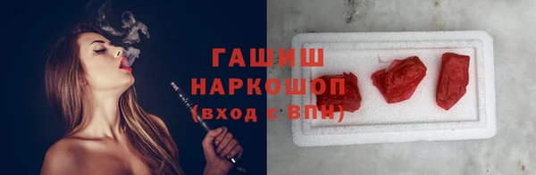 индика Каменногорск