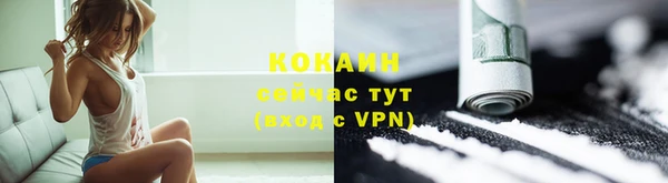 тгк Каменка