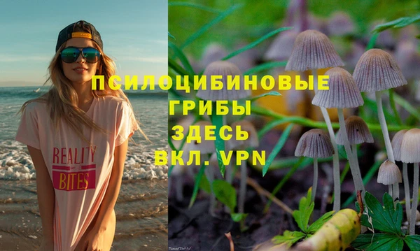 МДПВ Каменск-Шахтинский
