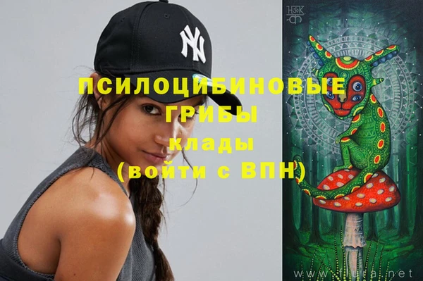 индика Каменногорск