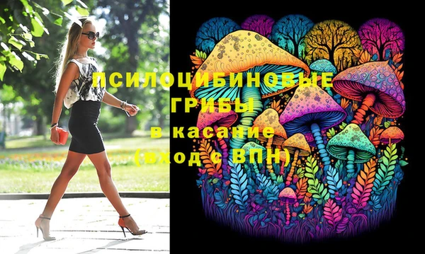 МДПВ Каменск-Шахтинский