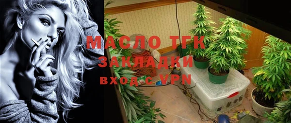 индика Каменногорск