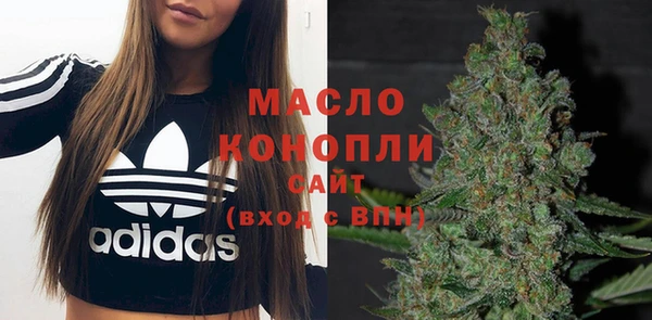 тгк Каменка