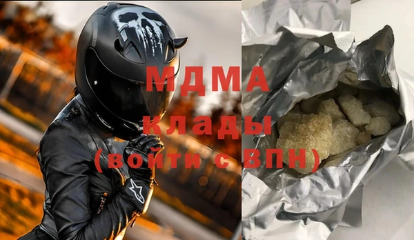 индика Каменногорск