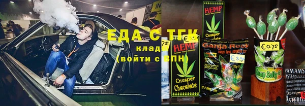 индика Каменногорск