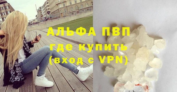 тгк Каменка