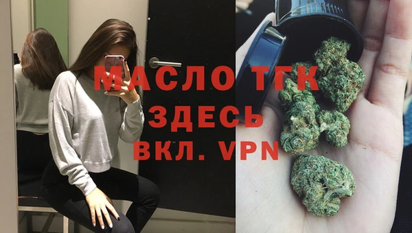тгк Каменка