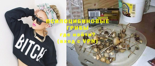 тгк Каменка