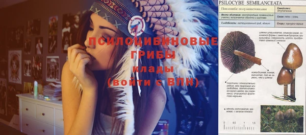 тгк Каменка