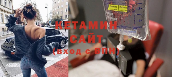 индика Каменногорск