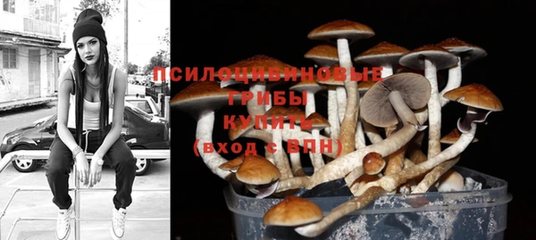 МДПВ Каменск-Шахтинский