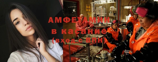 индика Каменногорск