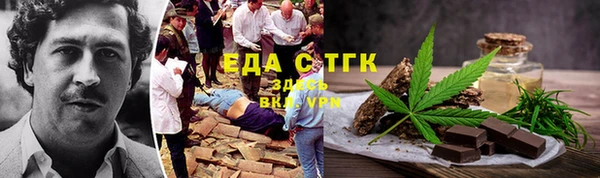 тгк Каменка
