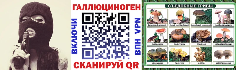 Галлюциногенные грибы прущие грибы  Киселёвск 